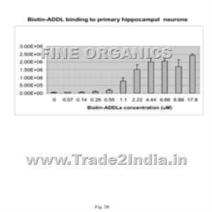 > </div>
<div class=